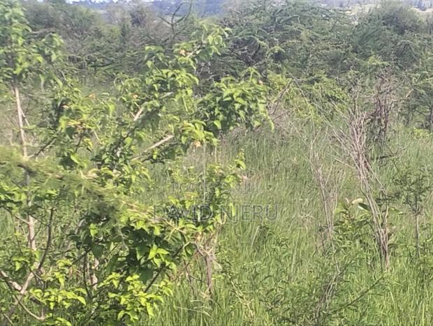 Land for Sale - thumbnail 3