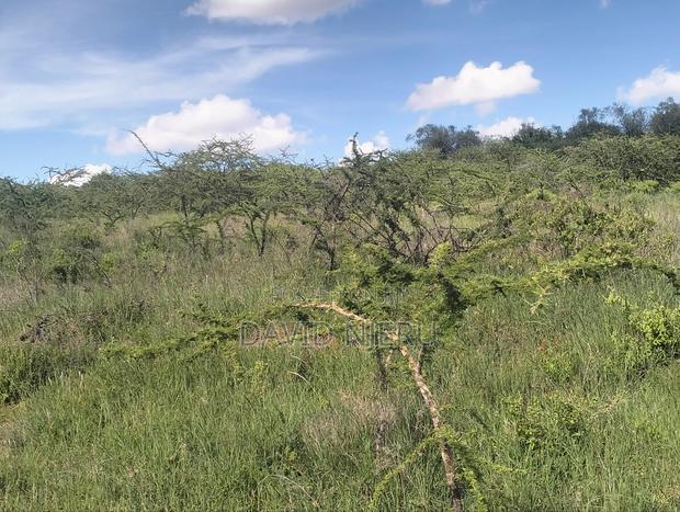 Land for Sale - thumbnail 8