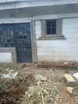 Building and Construction Consultant