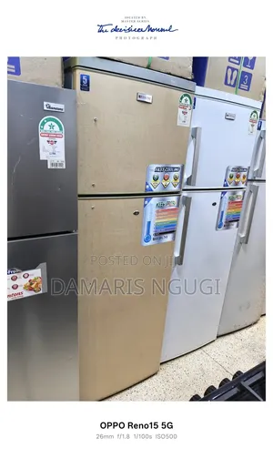 Unique Rebune Refrigerator