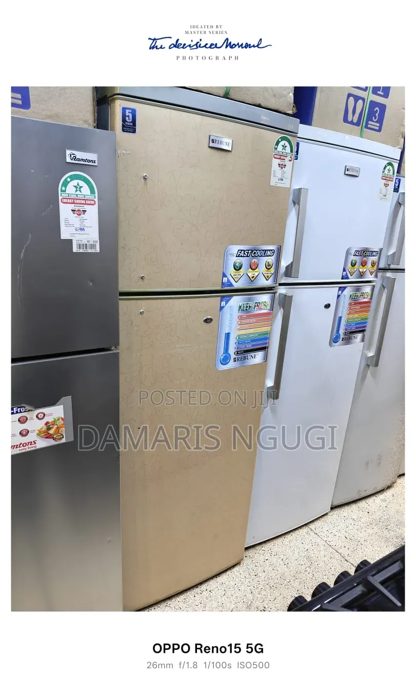 Unique Rebune Refrigerator