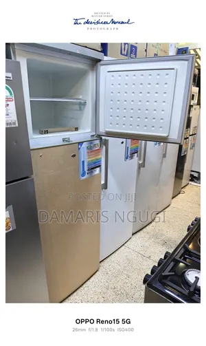 Unique Rebune Refrigerator