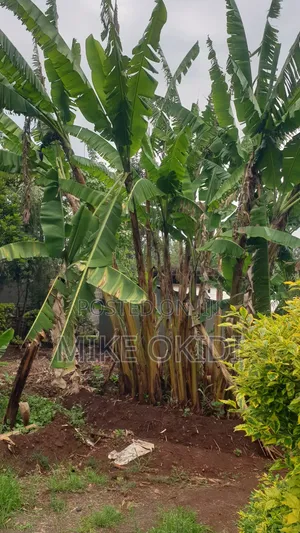 Plots for Sale in Kerarapon