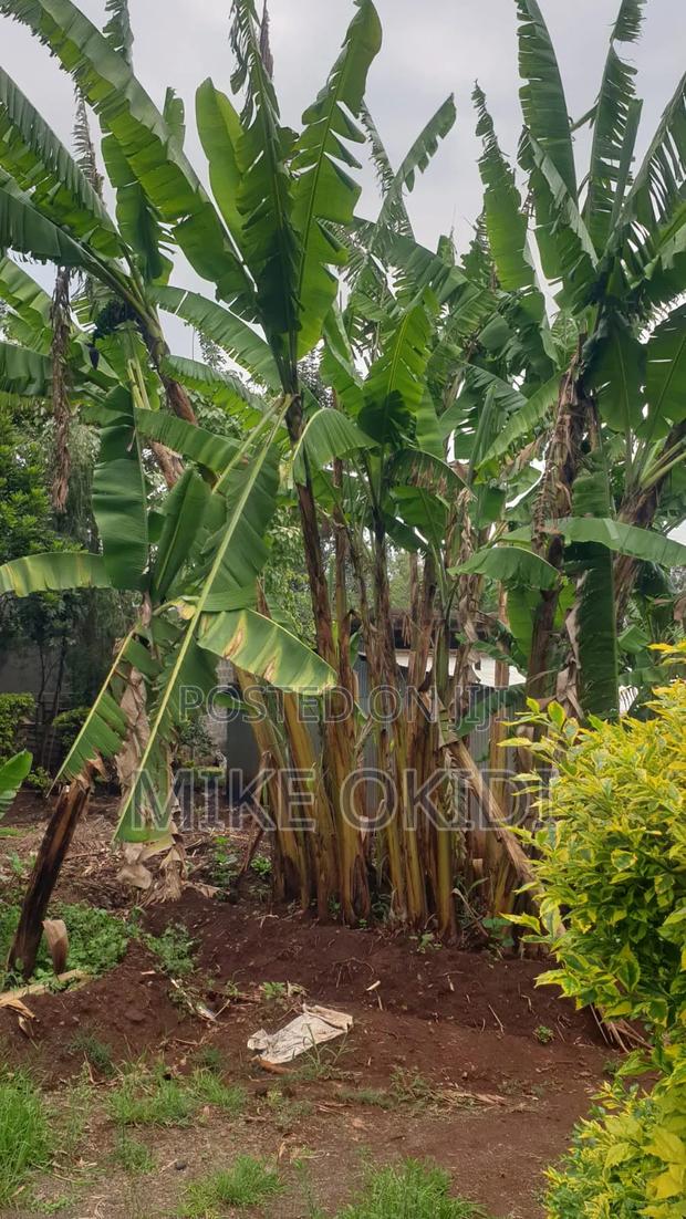 Plots for Sale in Kerarapon