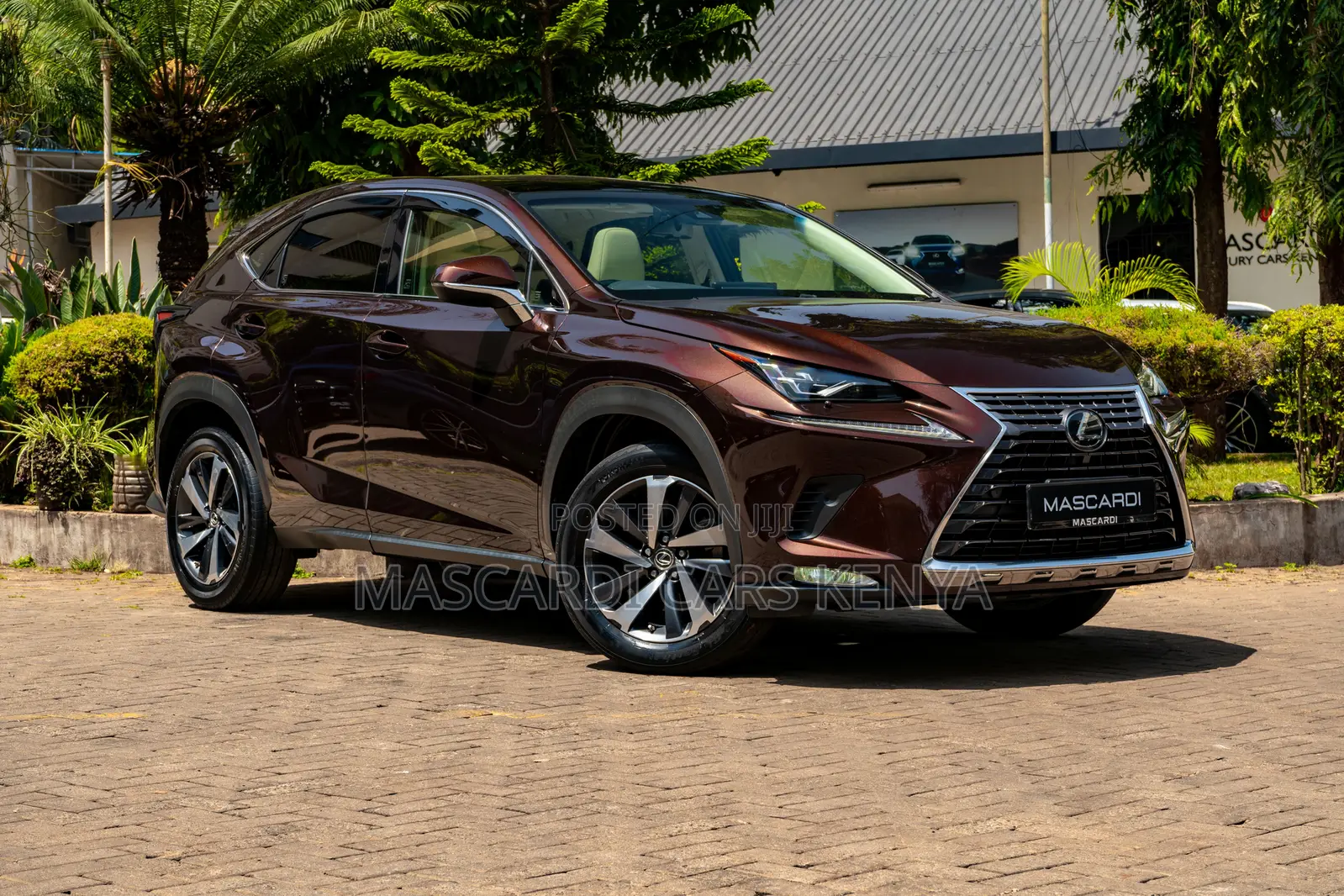 Lexus NX 300 AWD 2018 Brown