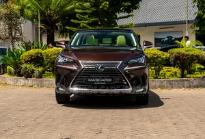 Lexus NX 300 AWD 2018 Brown
