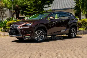 Lexus NX 300 AWD 2018 Brown