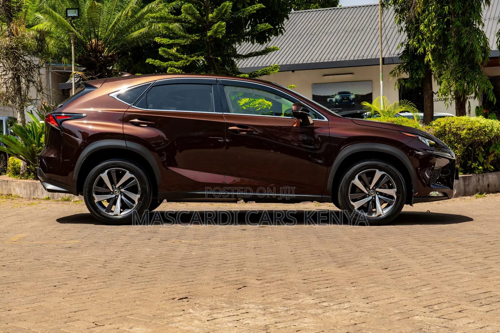 Lexus NX 300 AWD 2018 Brown