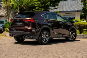 Lexus NX 300 AWD 2018 Brown