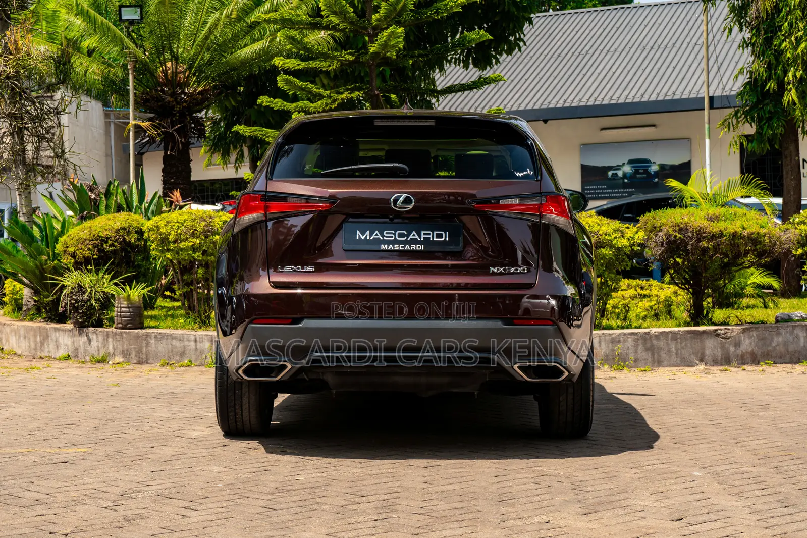 Lexus NX 300 AWD 2018 Brown