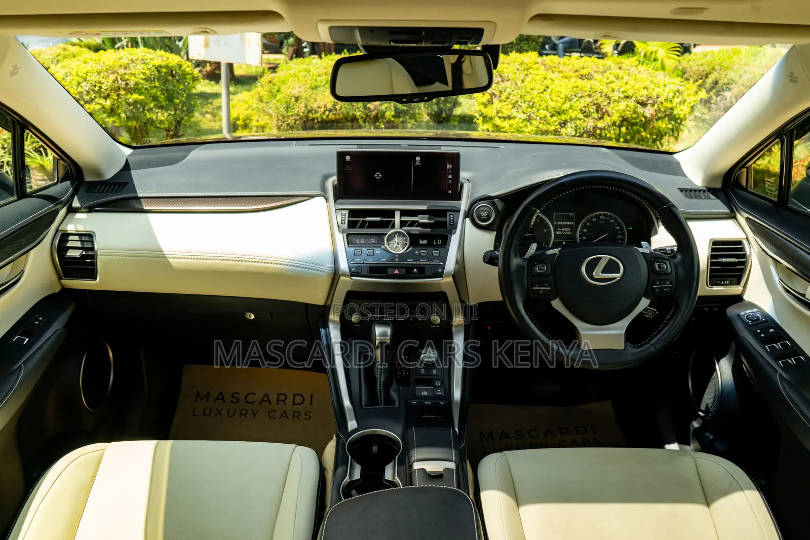 Lexus NX 300 AWD 2018 Brown