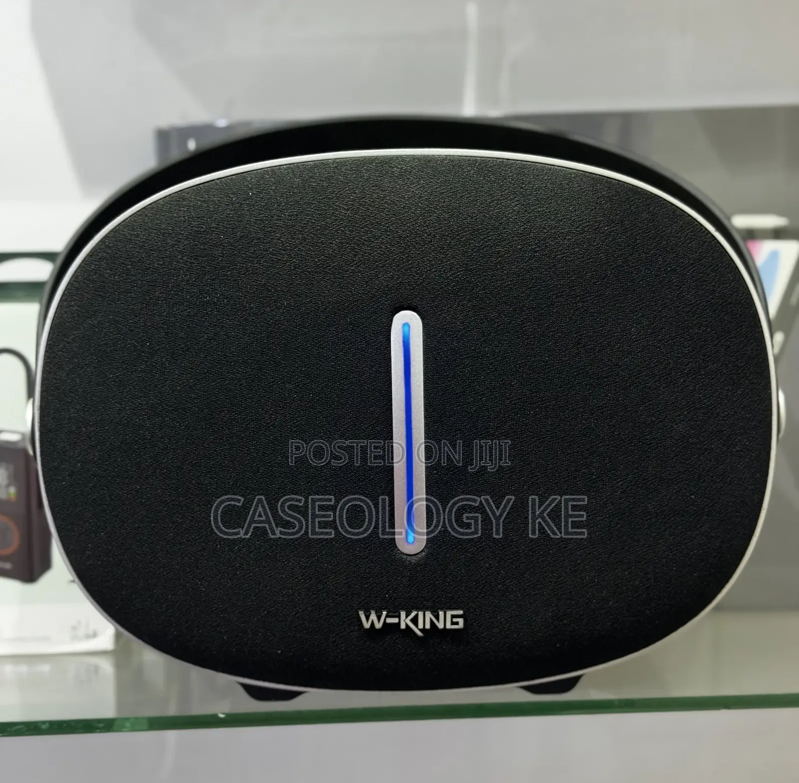 Wking Speaker
