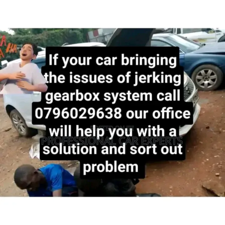 Professional Car Experts