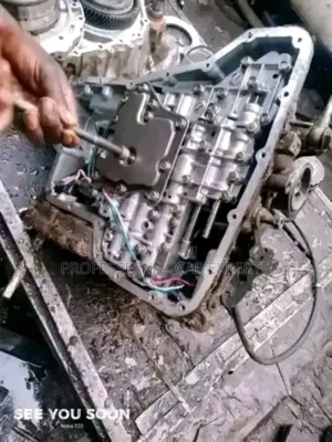 Professional Car Experts