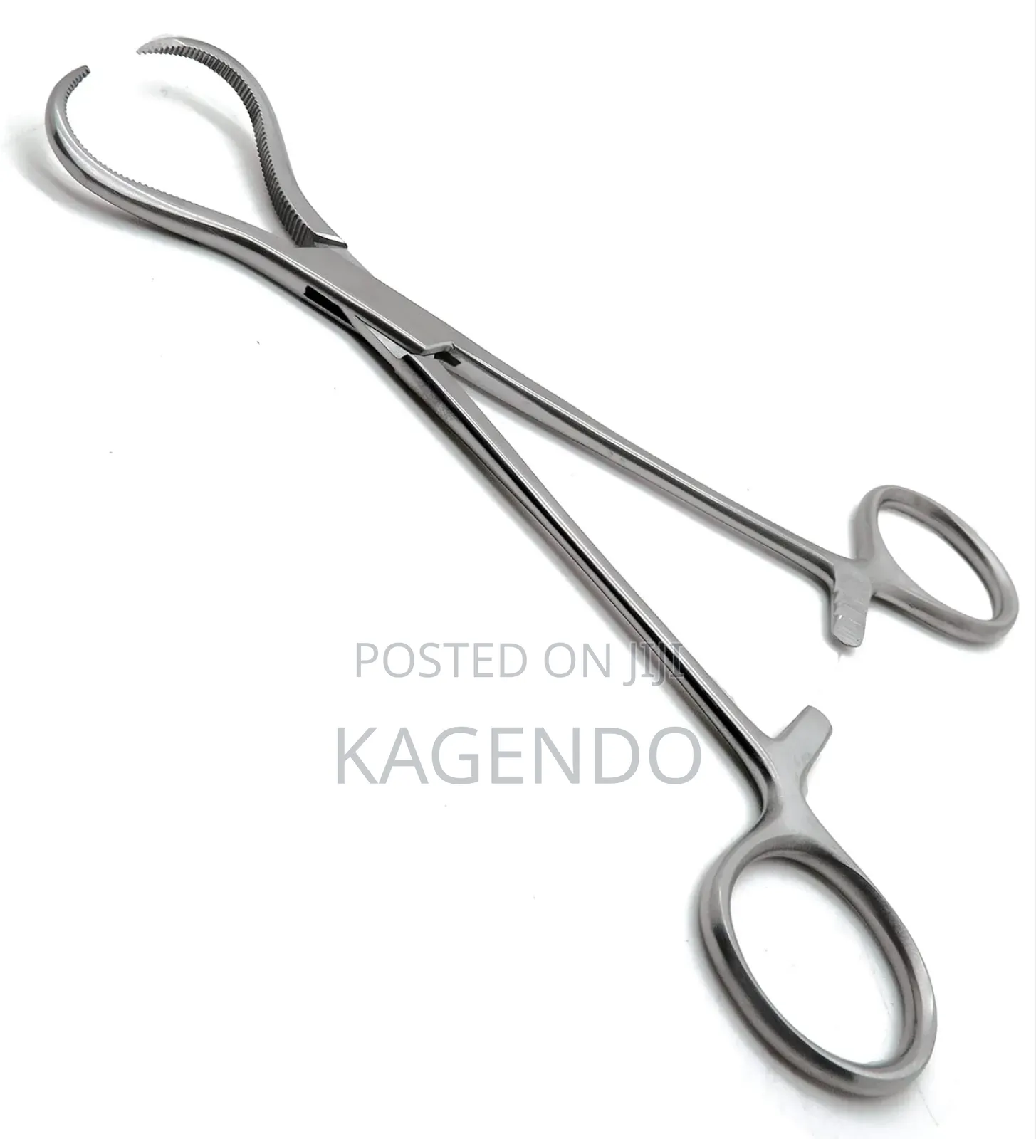 Bone Holding Forceps