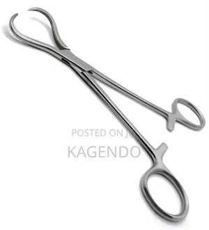 Bone Holding Forceps