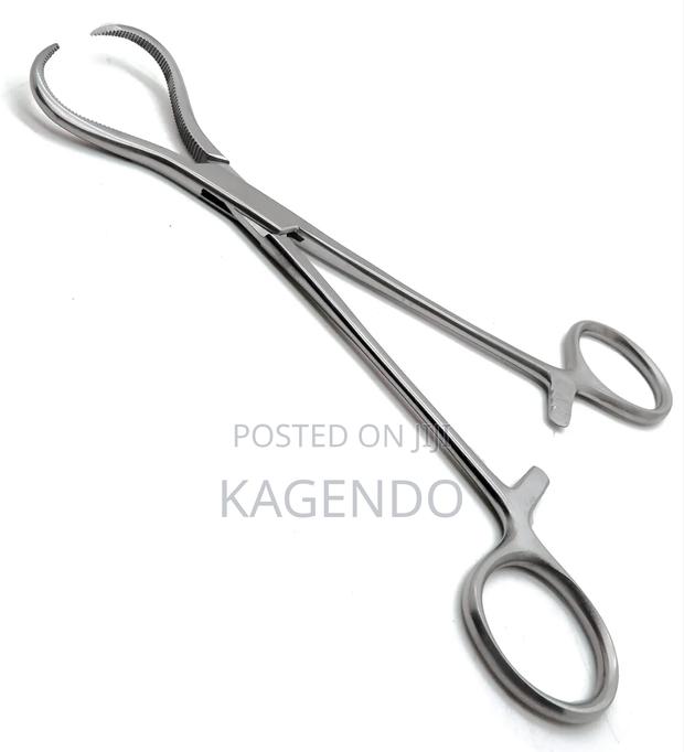 Bone Holding Forceps - main view