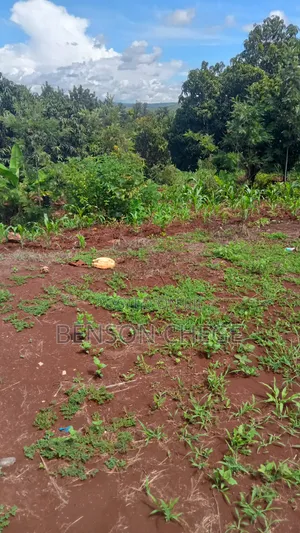 1acre Land for Sale at Maragua Ridge