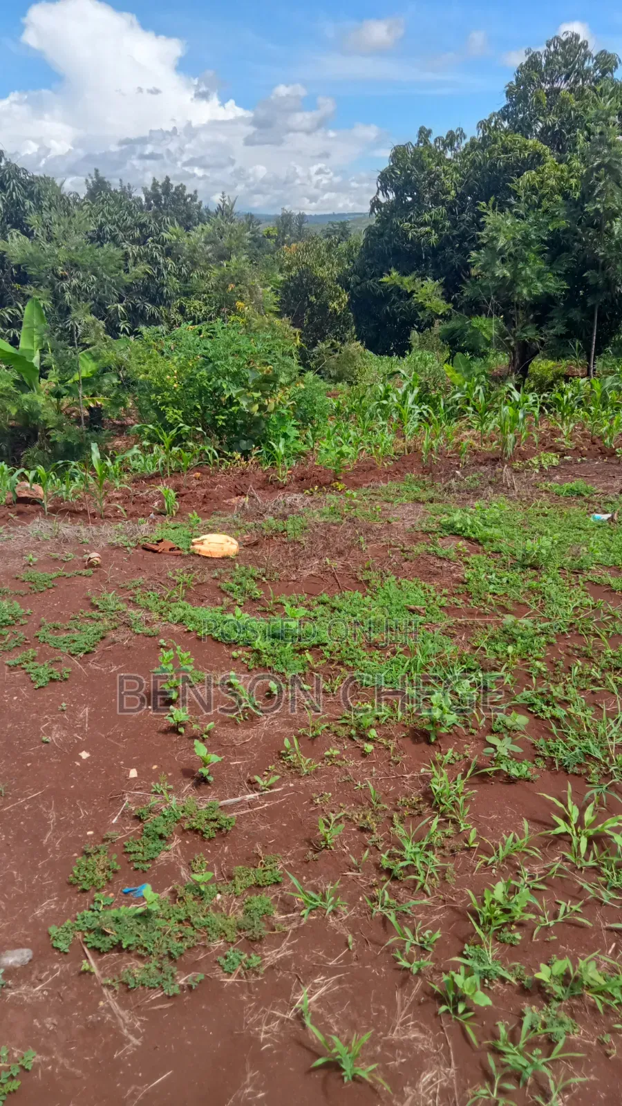 1acre Land for Sale at Maragua Ridge