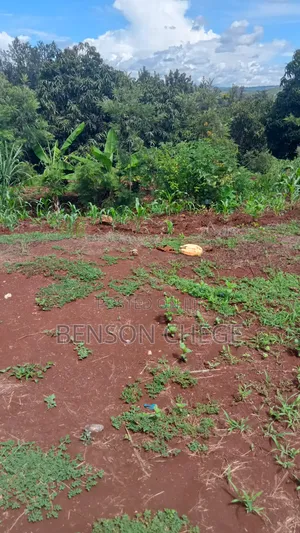1acre Land for Sale at Maragua Ridge