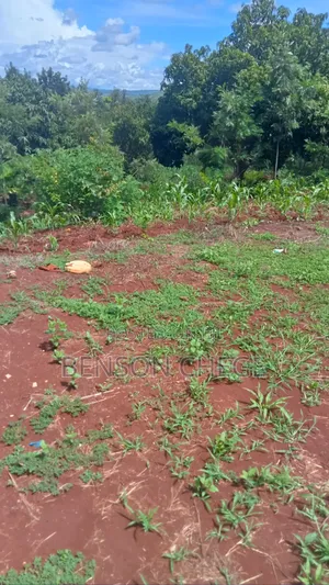 1acre Land for Sale at Maragua Ridge