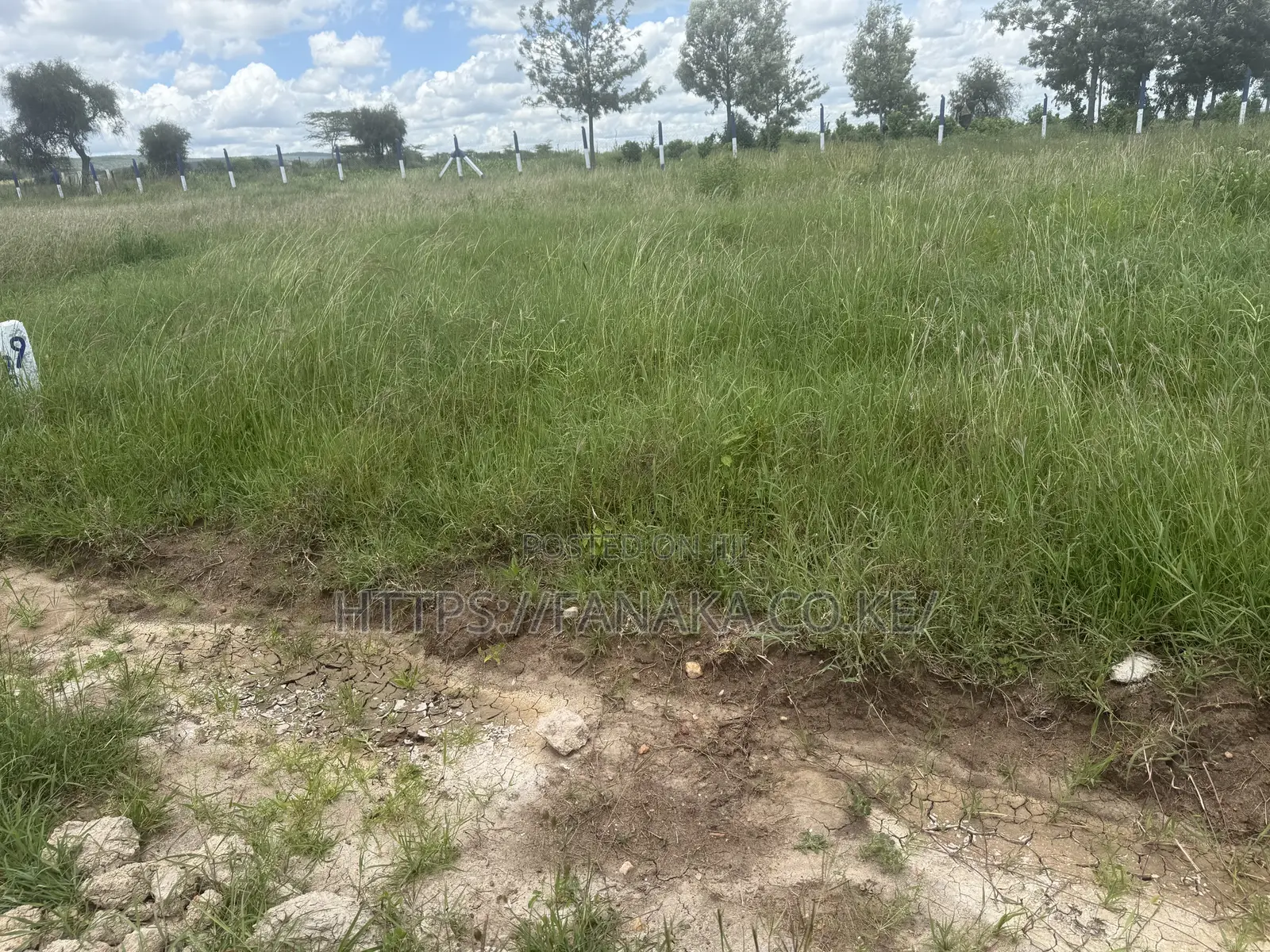 Hotcake Plots in Prime Kinanie.^Bw