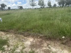 Hotcake Plots in Prime Kinanie.^Bw