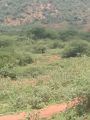 Strategic 1-Acre Prime Plot – Namanga