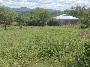 50 by 100 Plot for Sale