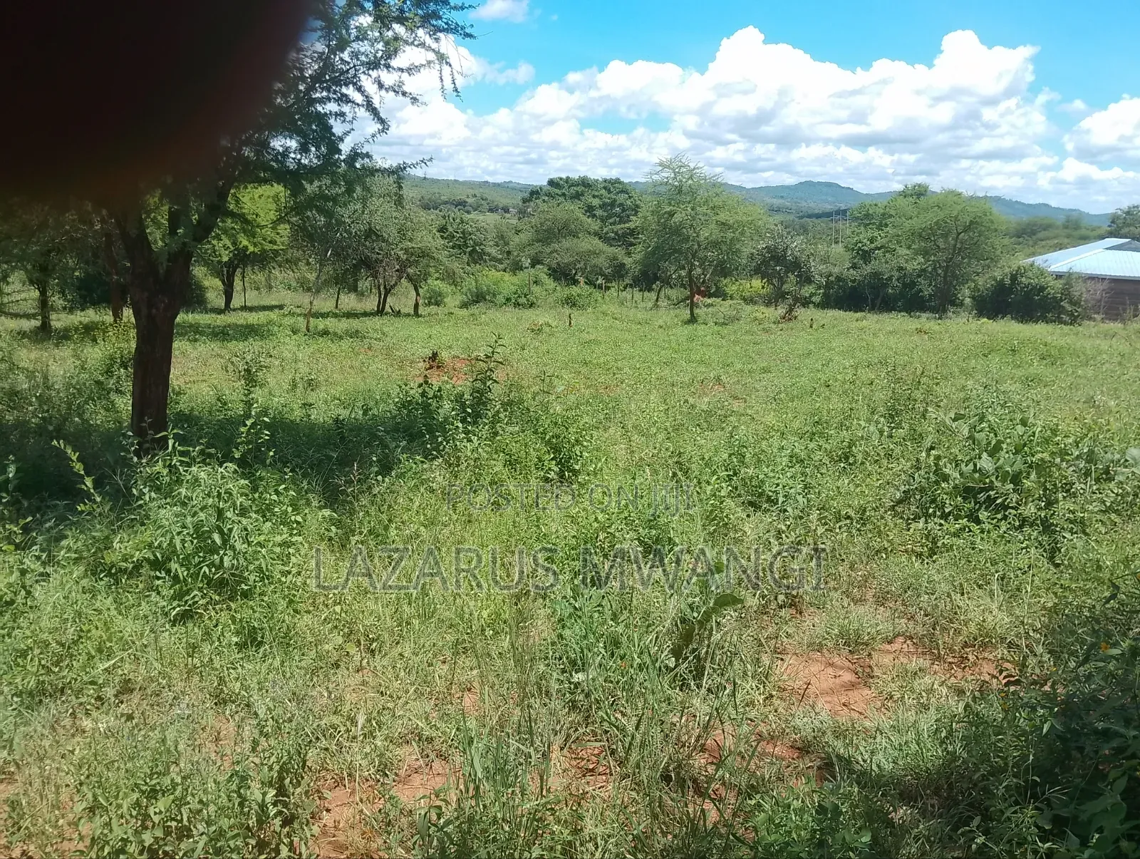 50 by 100 Plot for Sale
