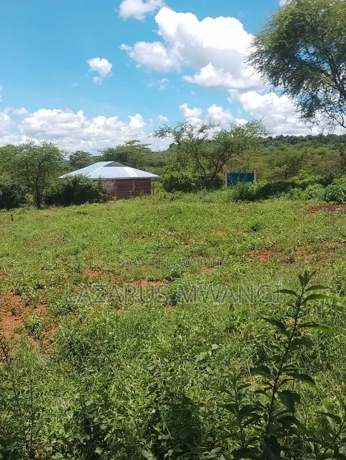 50 by 100 Plot for Sale