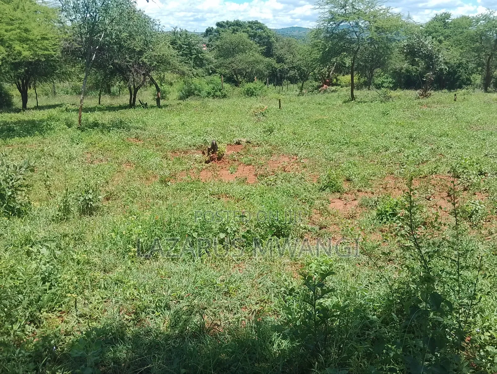 50 by 100 Plot for Sale