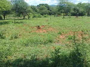 50 by 100 Plot for Sale