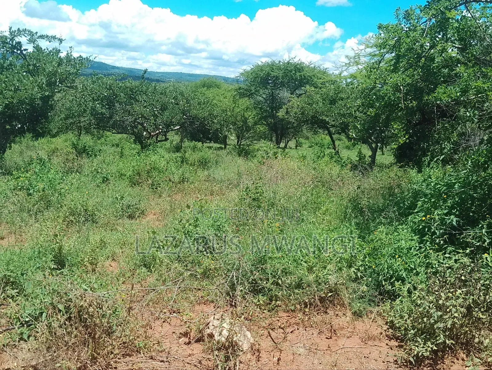 50 by 100 Plot for Sale
