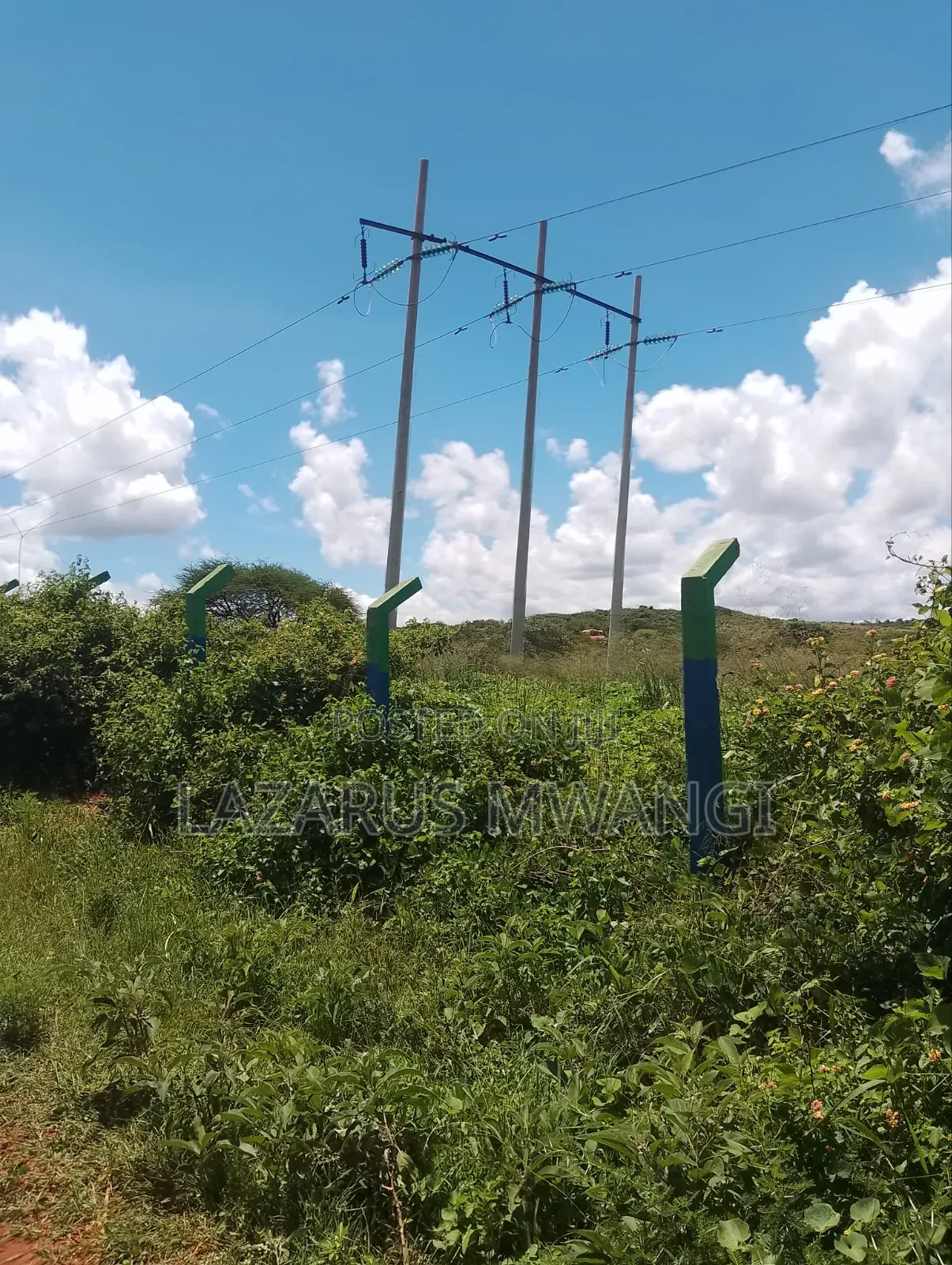 50 by 100 Plot for Sale