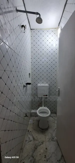 1bdrm Bedsitter in Gesonso, Bogiakumu for rent