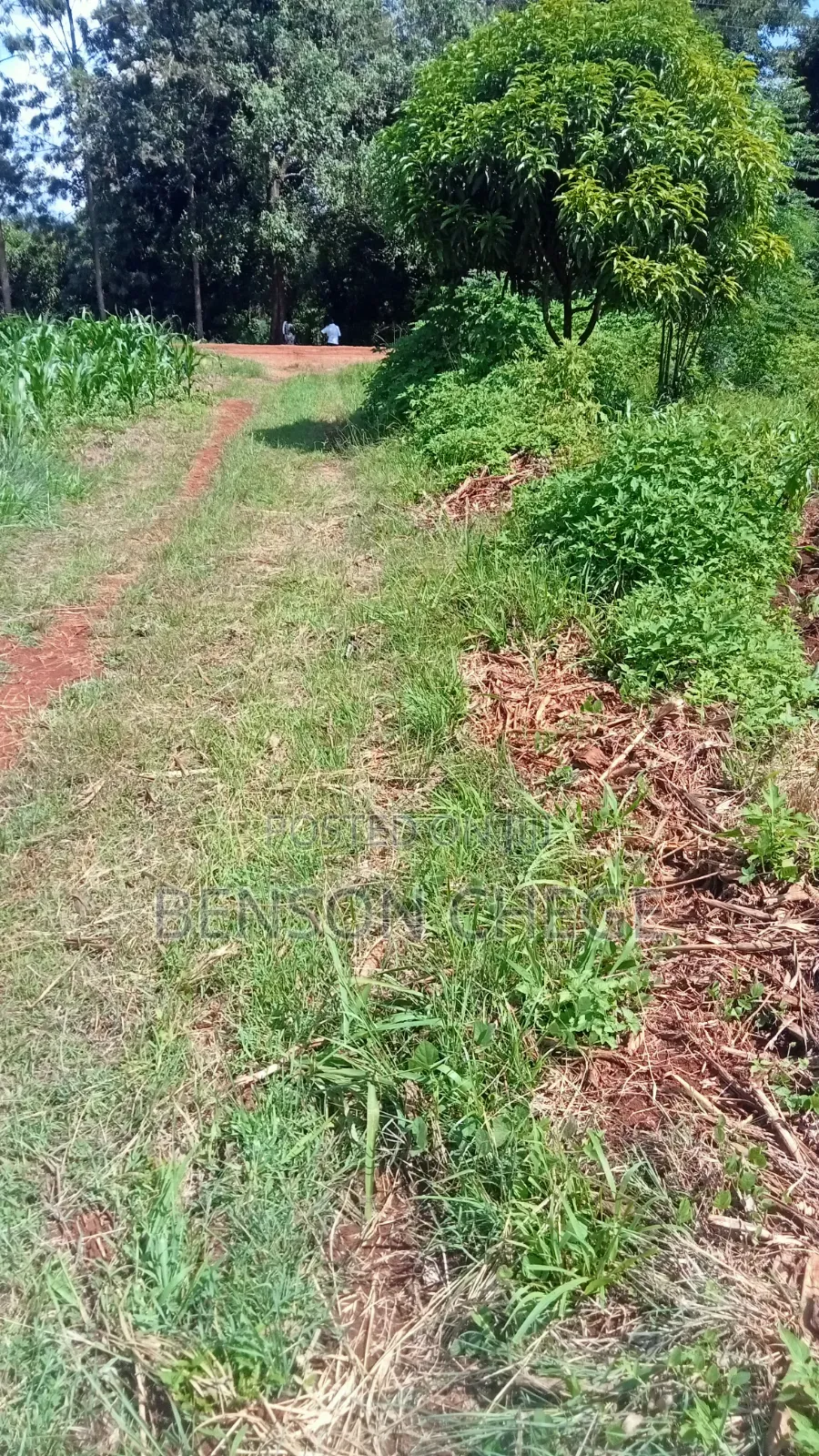 3/4acre of an Acre for Sale at Maragua Ridge