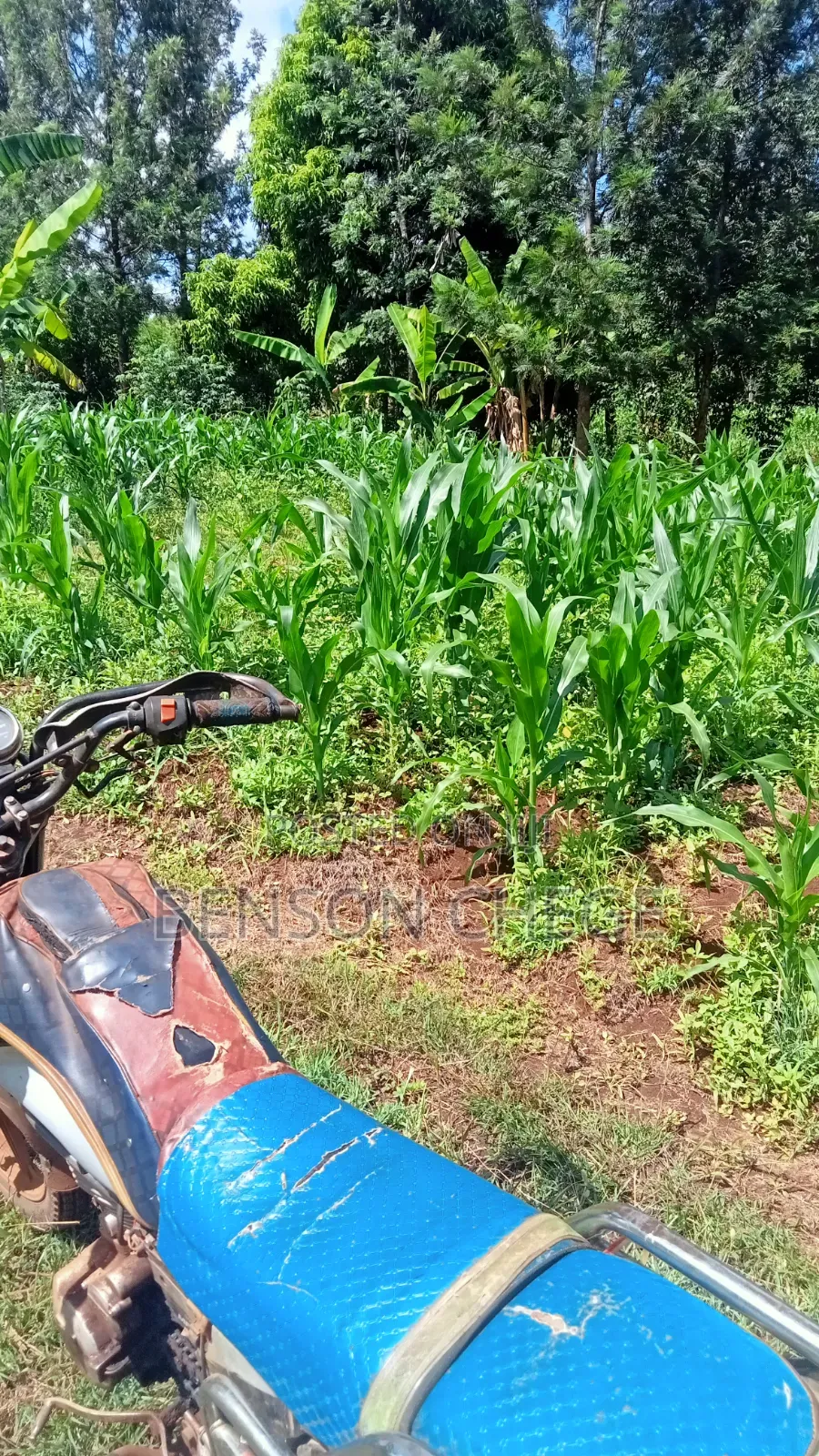 3/4acre of an Acre for Sale at Maragua Ridge