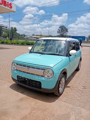 Suzuki Alto 2019 Blue