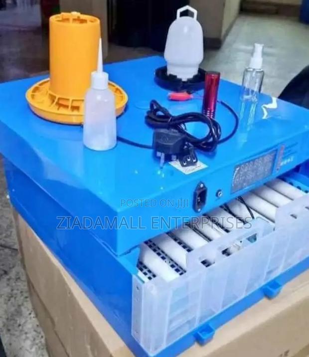 64-Egg Capacity Incubator for Home Farm Use