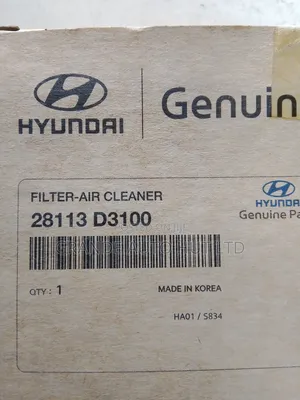 Air Filter Hyundai Tucson 2018 (Genuine)