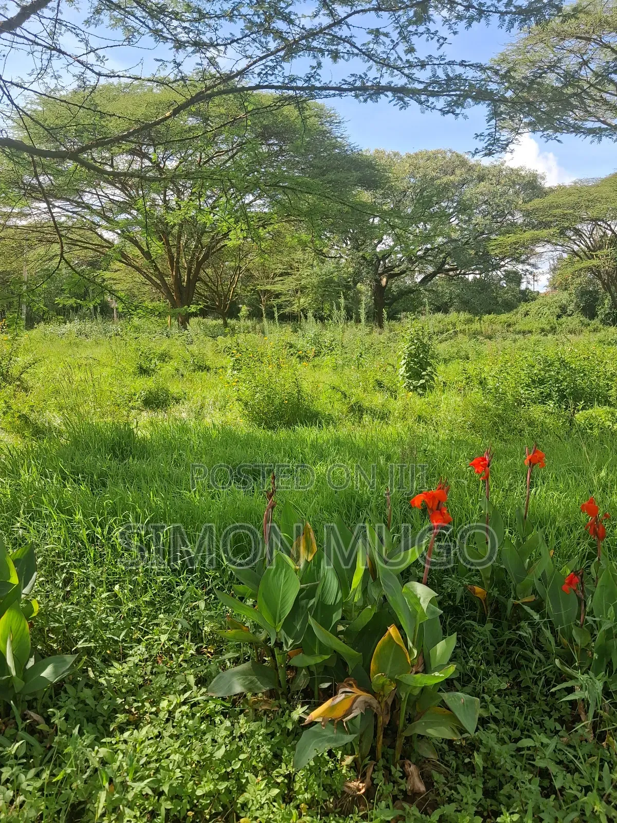 Garden Estate Prime Secure Fully Serviced 1/2 Acre, 1 Acre