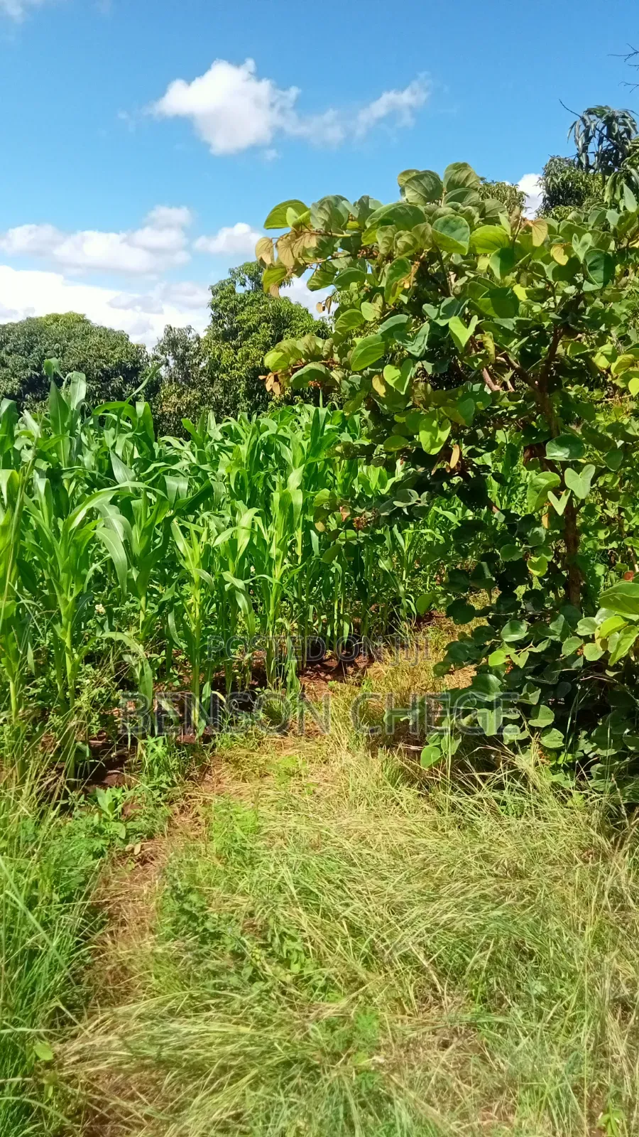 2acre for Sale at Maragua Ridge