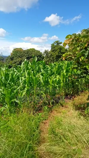 2acre for Sale at Maragua Ridge