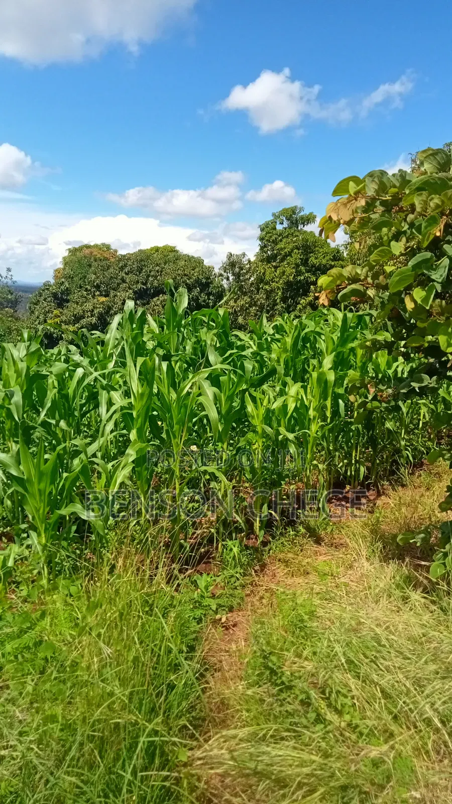 2acre for Sale at Maragua Ridge