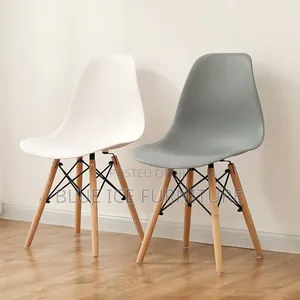 Plastic Salon Chair