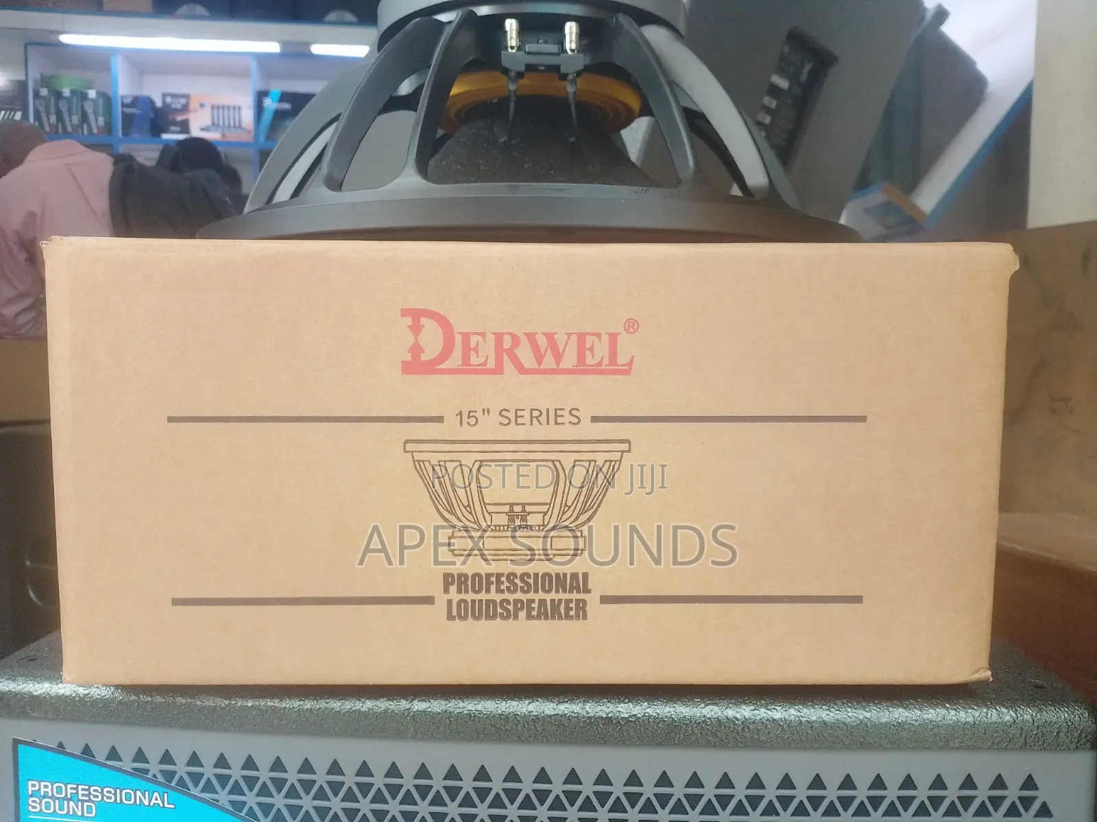 Derwel 15 Inches Nakade Speaker