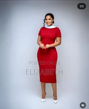 Pensil Ladies Dress