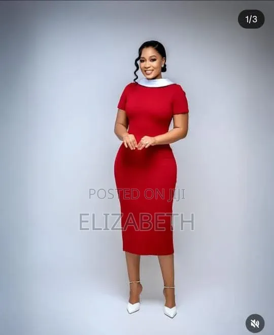 Pensil Ladies Dress