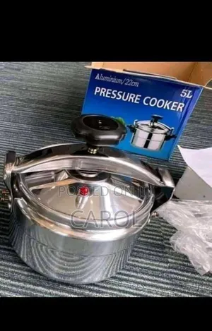 Stainless Electric Pressure Cooker